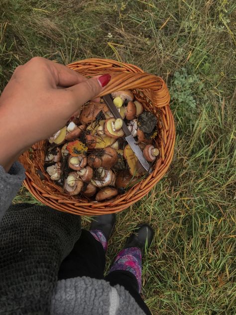 Mushroom Hunting Aesthetic, Mushrooms Aesthetic, Hunting Aesthetic, Mushroom Hunting, Aesthetic Autumn, Best Seasons, Autumn Aesthetic, Grapevine Wreath, Decorative Wicker Basket