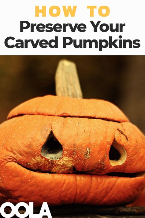 How To Keep Carved Pumpkins From Rotting, Keeping Pumpkins From Rotting, How To Keep Pumpkins From Rotting, Preserve Carved Pumpkin, Pumpkin Shoot, Halloween Sculptures, Pumpkin Sculpting, Pumpkin Peel, Pumpkin Paintings