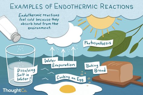 Examples of Endothermic Reactions Endothermic And Exothermic Reactions, Exothermic And Endothermic Reactions, Endothermic Reaction, Fun Science Experiments, Exothermic Reaction, Science Diagrams, Chemistry Activities, Chemical And Physical Changes, Potassium Nitrate