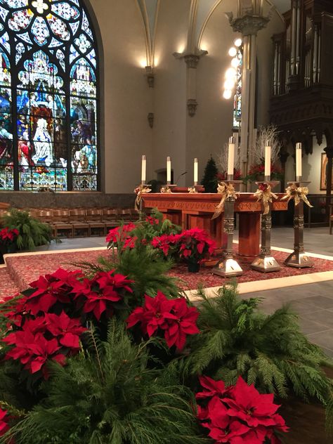 Christmas Alter Churches Decorated For Christmas, Christmas Church Decorations Sanctuary, Church Christmas Decorations Sanctuary, Christmas Altar, Advent Church Decorations, Sanctuary Decor, Church Sanctuary, Christmas Greens, Church Christmas Decorations