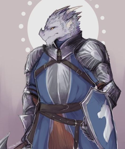 2e35955ce429ec5e3e1636ab7f84ff7a Dragonborn Wizard Female, Male Dragonborn, White Dragonborn, Cleric Paladin, Dragonborn Paladin, Dnd Dragonborn, Dragon Born, Plate Armor, The Elder Scrolls