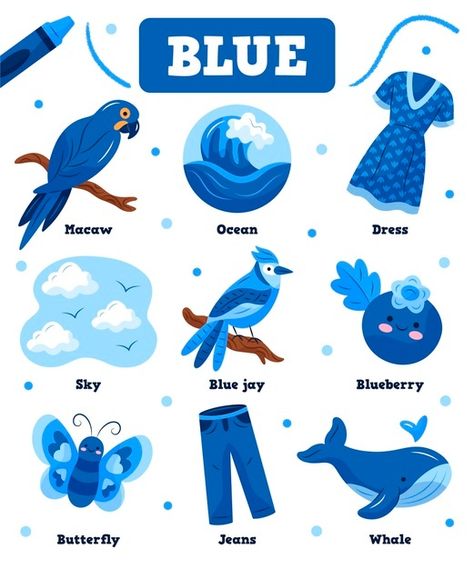 Colors and vocabulary set in english Fre... | Free Vector #Freepik #freevector #education #blue #color #learning Blue Colour Objects For Preschool, Things That Are Blue Preschool, Blue Colour Activity For Preschool, Learning Colors For Kids, Preschool Charts, Color Learning, Kids Handwriting Practice, Rainbow Mobile, Art Activities For Toddlers