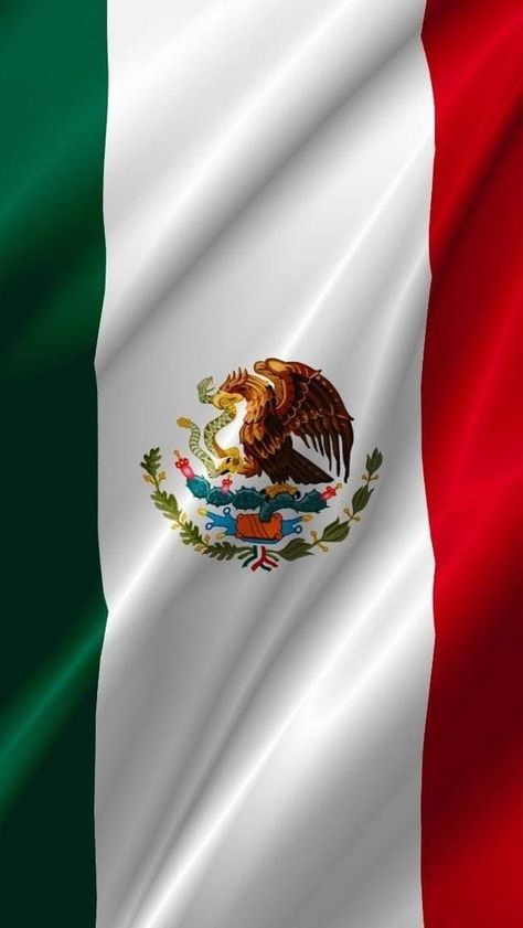 Bandera de México Mexico Aesthetic Wallpaper, Mexican Flag Eagle, Mexican Board, Mexican Things, Mexico Wallpaper, Mexico Aesthetic, Mexican Heritage, Aztec Warrior, Mexican Flag