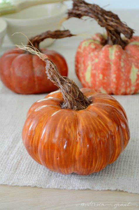 DIY Pumpkins with Realistic Looking Stems | ANDERSON+GRANT Pumpkin Stems, Diy Pumpkins, Diy Pumpkin Spice, Fall Pumpkin Crafts, Fake Pumpkins, Plastic Pumpkins, Pumpkin Stem, Rustic Fall Decor, Sisal Rope