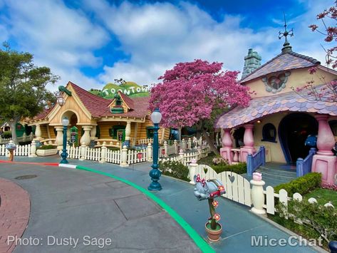 Toon Town Disney World, Disney Toon Town, Christmas Disneyland, Disneyland Castle, Disney Designs, Hobbit House, Happiest Place On Earth, Disney Magic, Disney Parks