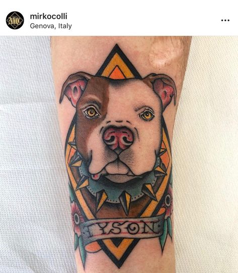 Old School Pitbull Tattoo, American Traditional Dog Portrait, Traditional Pitbull Tattoo, Neo Traditional Pitbull Tattoo, Bully Tattoo, Neotraditional Dog Tattoo, Traditional Dog Portrait Tattoo, Train Tattoo, Traditional Hand Tattoo