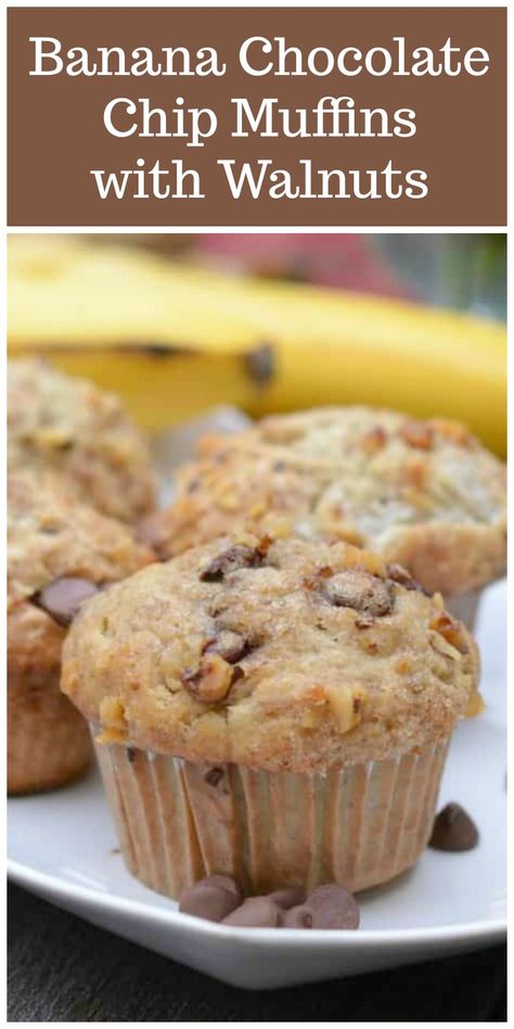 Banana Walnut Chocolate Chip Muffins, Banana Nut Chocolate Chip Muffins, Banana Choc Chip Muffins, Best Pumpkin Muffins, Choc Chip Muffins, Banana Walnut Muffins, Healthy Chocolate Banana, Strudel Recipes, Scone Recipes