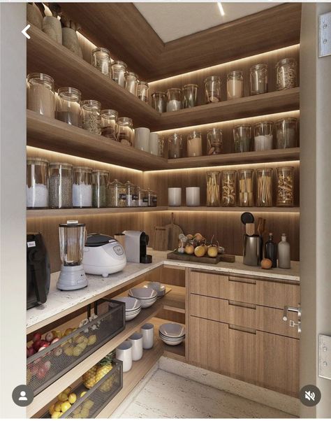 Food Storage Rooms, Pantry Closet Design, Kitchen Cabinetry Design, Pantry Room, Desain Pantry, Kitchen Pantry Design, Kitchen Design Plans, Dream House Rooms, House Design Kitchen