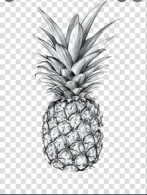 Tropical Tattoo, Pineapple Tattoo, White Pineapple, Surf Tshirt, Tattoos For Guys, Tatting, Pineapple, Tattoo Designs, Surfing