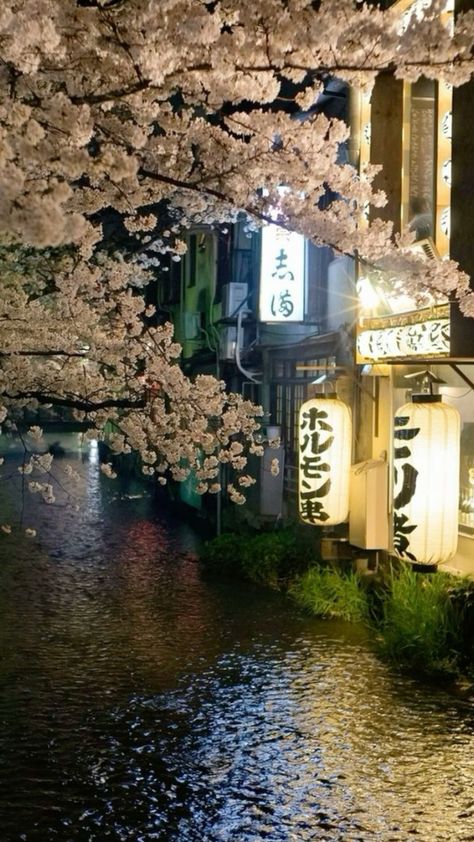 China Aesthetic, Korea Południowa, City At Night, Go To Japan, Pretty Landscapes, Japan Aesthetic, Aesthetic Japan, Japanese Aesthetic, Blossom Trees