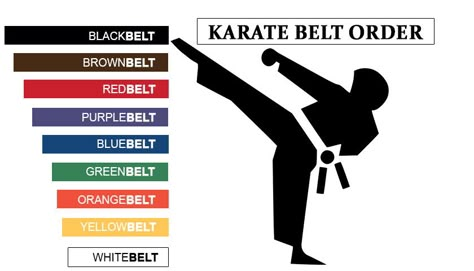 Karate Belt Colors, Karate Belts, Taekwondo Belts, Goju Ryu, Kids Karate, Karate Training, Karate Belt, Cute Animal Quotes, Shotokan Karate