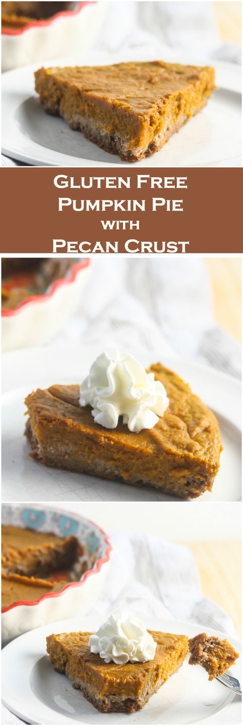 Gluten-Free Pumpkin Pie with Pecan Crust {Low Carb Option} Gluten Free Pumpkin Pie Recipe, Impossible Pumpkin Pie, Dairy Free Pumpkin Pie, Sugar Free Pumpkin Pie, Gluten Free Pumpkin Pie, Graham Cracker Recipes, Pecan Crust, Crustless Pumpkin Pie, Dairy Free Pumpkin