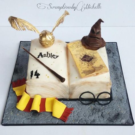 Luna Lovegood Cake, Hp Cakes, Harry Potter Book Cake, Open Book Cakes, Ravenclaw Girl, Gateau Harry Potter, Harry Potter Dobby, Cumpleaños Harry Potter, Harry Potter Birthday Cake