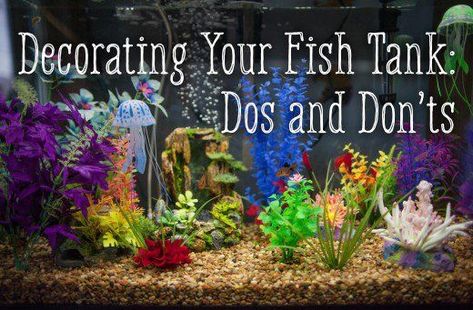 Tips for how to safely decorate your fish tank. Glofish Tank, Cool Fish Tank Decorations, Fish Aquarium Decorations, Fish Tank Themes, Diy Fish Tank, Cool Fish Tanks, Tropical Fish Tanks, Tropical Fish Aquarium, Tropical Freshwater Fish