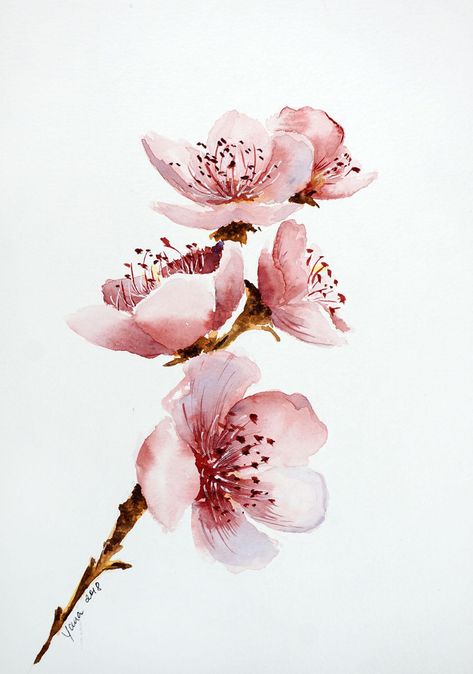 Paint Cherry Blossom, Watercolor Step By Step, Cherry Blossom Watercolor, Cherry Blossom Painting, Step By Step Watercolor, Cherry Blossom Art, Blossoms Art, 수채화 그림, Watercolor Flowers Paintings