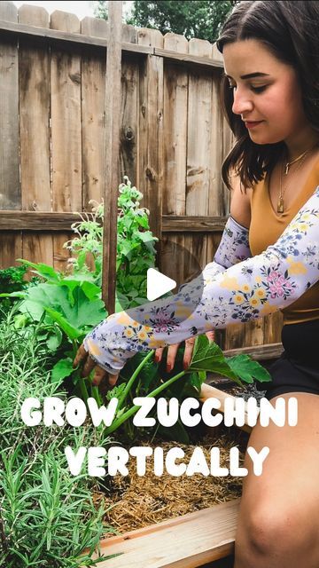 Sara Tracy, Gardener | On A Garden Kick on Instagram: "A real space saver in the garden! 🙌   Wearing my sleeves from @farmersdefense helped keep my arms protected while setting up this zucchini plant to grow vertically. 🤗   Zucchini plants can make your arms itchy and their spikes can scratch so before doing this I’d definitely recommend grabbing a pair of these sleeves. 🫶🏼  There are lots of benefits to growing zucchini vertically—it saves space, creates better airflow, makes pest checks easier, and allows for easier harvesting. I also think it looks really cool. 😆  You don’t need a lot to do this—I’m using a wooden tomato stake and stretchy garden ties to secure the plant to the stake. Remove anything from the main stem below the first flower and secure the plant then you’re good to Zucchini Plants Vertical, Growing Zucchini In Raised Beds, Vertical Zucchini Garden, Zucchini In Pots Growing, Staking Zucchini Plants, Zucchini Plants Gardening, Vertical Zucchini, Spaghetti Squash Plant, Growing Zucchini Vertically