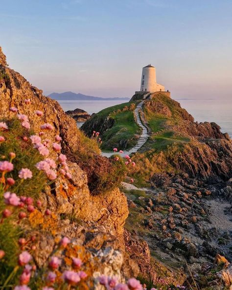 YourWales | Cymru | . 📸 miryinlondon 📍: Ynys Llanddwyn, Ynys Môn / Anglesey LLONGYFARCHIADAU / CONGRATULATIONS, thank you for sharing YOUR image!… | Instagram Ynys Llanddwyn, Anglesey Wales, Walking Outdoors, Image Instagram, Landscape Mountains, Adventure Explore, British Isles, Great Britain, Outdoors Adventure