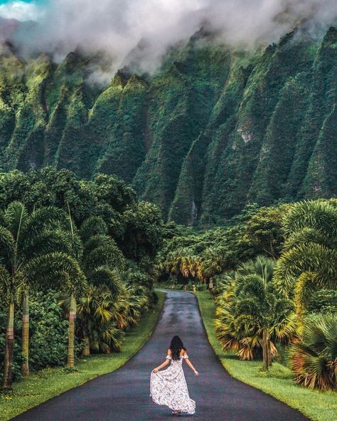 Now Discovering the Ho'omaluhia Botanical Garden in Oahu, Hawaii with @katrinathi. "Situated at 45-680 Luluku Road, Kāne'ohe, Oahu, Hawaii, Ho'omaluhia Botanical Garden is 400 acres of flora and fauna from all over the world. Coming here I felt like I was connected away from the hustle and bustle of technology and truly felt one with nature and its beauty. Ho'omaluhia translates to 'a peaceful refuge' and rightfully so because my mind and soul was in place of tranquility when I explored ... Oahu Vacation, Moving To Hawaii, Hawaii Pictures, Hawaii Photography, Hawaii Life, Hidden Beach, Hawaii Vacation, Oahu Hawaii, Free Things