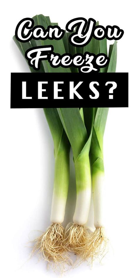 Are you wondering if you could freeze leeks especially if you bought too many of it? If you don’t know what to do with them, worry no more! We got you covered. Leeks make a really good addition to soups, stews, casseroles, pasta and risotto dishes, and even as a base for a creamy sauce. If you want them to stay fresh and keep that great mild sweet flavor, ready to be called on when needed, then check out these step by step guide in freezing leeks. #leeks #leekrecipe #ingredient #freezingleeks What To Do With Leeks, Freezing Leeks, Freeze Leeks, Risotto Dishes, Leek Recipes, Pork Medallions, Creamed Leeks, Vegetable Garden Planning, Soups Stews