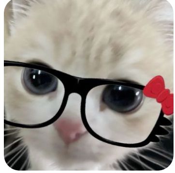 Hello Kitty Funny, Pfp Tiktok, Cute Nerd, Wallpaper Pfp, Nerd Glasses, Cat Glasses, Silly Cats Pictures, A Wallpaper, Cute Doodles Drawings