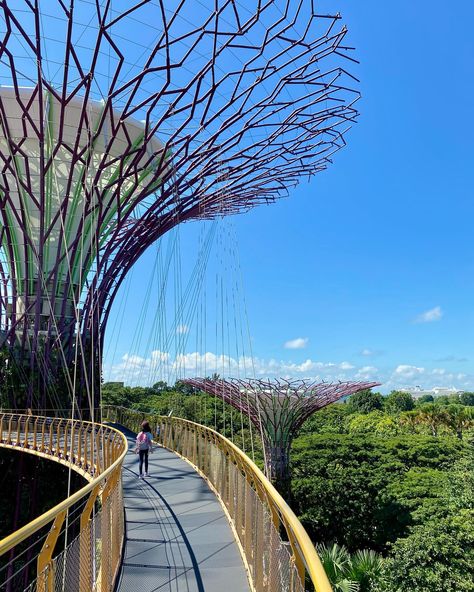 What is the best spot in Singapore’s top tourist destination #gardensbythebay ? 📌Share this post with friends and swipe for location! I’d definitely say it’s the Supertree grove and OCBC Skyway. The huge 25-50 meter super trees are the signature feature at #gardensbythebaysg . I normally don’t care for these high view points but this is one of my favorite ones. It’s really special to walk among the super trees. I’ll list all the spots in Gardens by the Bay soon! 💰OCBC Skyway admission... Singapore Aesthetic, Post With Friends, Supertree Grove, High Bridge, Gardens By The Bay, Travel Inspo, Tourist Destinations, Marina Bay, Aerial View