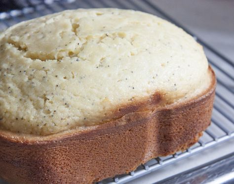 Spring has sprung in our home!       Despite the fact that the weather network has forecasted a winter storm alert today, and we are expecti... Lemon Poppyseed Loaf, Poppyseed Loaf, Poppyseed Bread, Poppy Seed Loaf, Seed Loaf, Poppy Seed Bread, Lemon Poppyseed Bread, A Loaf Of Bread, Bread Maker Recipes