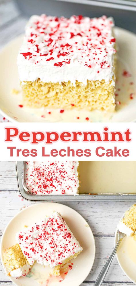 Peppermint Tres Leches, Different Types Of Tres Leches Cake, Nutella Tres Leches, Tres Leche Cakes, Holiday Tres Leches Cake, Apple Tres Leches Cake, Thanksgiving Tres Leches Cake, Tres Leches Brownie, Hot Cocoa Tres Leches Cake