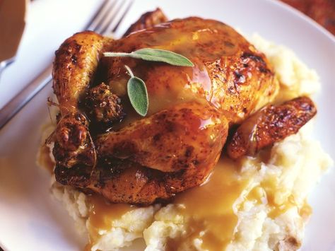 cornish hens recipe, game, rock, herb, spice, receipts Cornish Game Hen Dinner Ideas, Hen Dinner Ideas, Game Hen Recipes, Cornish Game Hen Recipes, Cornish Game Hens, Cornish Hen Recipe, Game Hens, Cornish Game Hen, Game Hen