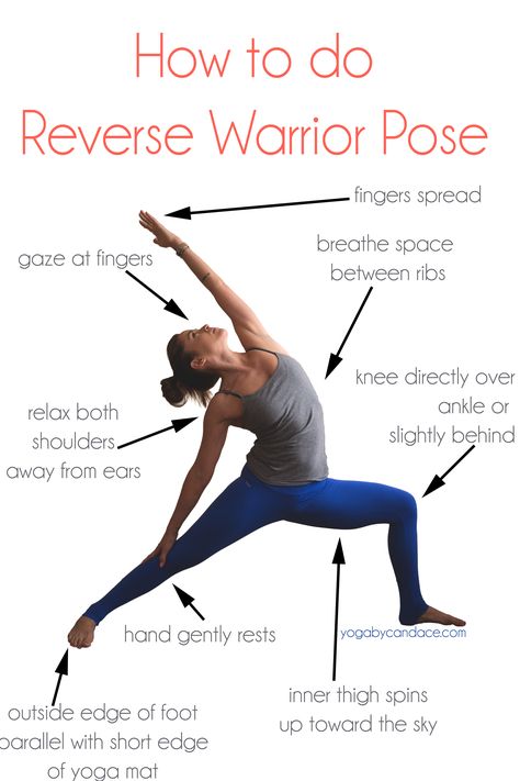 Yoga Ashtanga, Yoga Nature, Ashtanga Vinyasa Yoga, Yoga Anatomy, Warrior Pose, Yoga Beginners, Partner Yoga, Yoga Posen, Yoga Iyengar