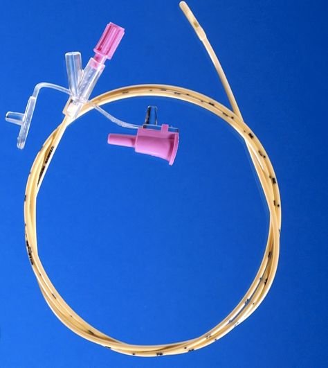 What you need to know about nasoesophageal / nasogastric feeding tubes | VETgirl Veterinary Continuing Education Blog Nasogastric Tube, Veterinary Technician, Feeding Tube, Veterinary Clinic, Medical Information, Continuing Education, Do You Need, Sloth, Need To Know