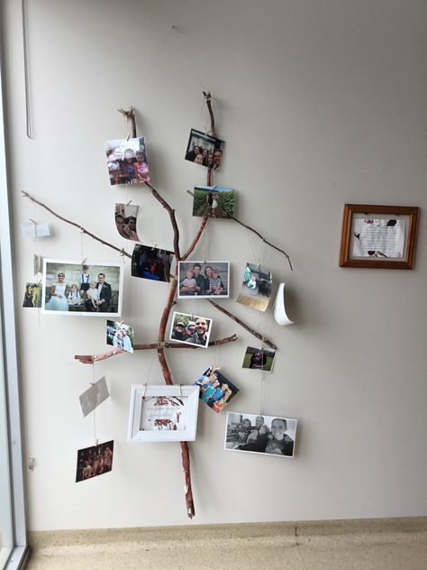 Family Tree Display, Reggio Classroom, Tree Display, Building A Home, Classroom Displays, Reggio Emilia, Community Building, Childcare, Room Decoration