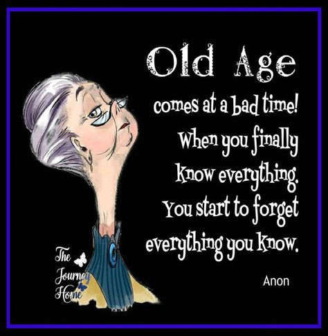 Funny Quotes About Aging, Quotes About Aging, Old Age Quotes, Age Humor, Getting Older Humor, Old Age Humor, Aging Humor, Senior Humor, Old Lady Humor