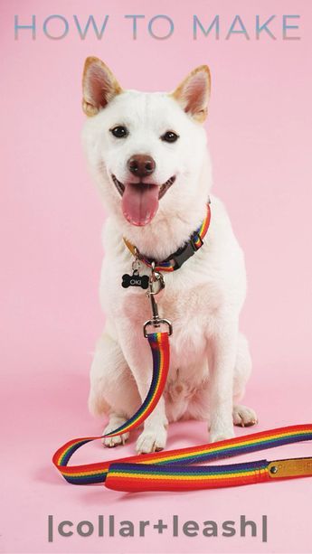 How To Make Collars For Dogs, Diy Pet Collars How To Make, Homemade Dog Leashes, Dog Collar Diy Tutorials How To Make, How To Make A Dog Collar Diy, Sewing Dog Leash, Sew Dog Collar Diy Tutorial, Diy Dog Collars And Leashes, Dog Leash Sewing Pattern