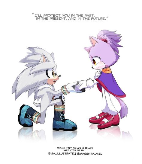 Silver And Blaze, Blaze The Cat, Art Collab, Hiro Big Hero 6, Sonic The Movie, Hedgehog Movie, Sonic Heroes, Silver The Hedgehog, Sonic Funny