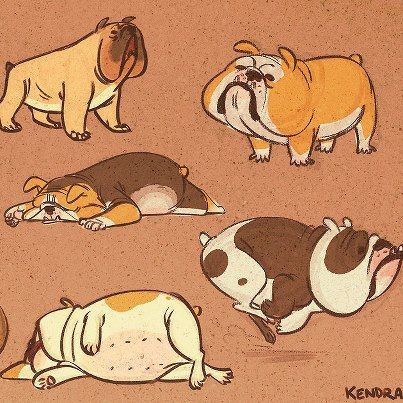 Baggy Bulldogs Bulldog Drawing, Baggy Bulldogs, Bulldog Tattoo, Bulldog Artwork, Bulldog Pics, Puppy Drawing, 강아지 그림, Bulldog Art, Dog Illustration