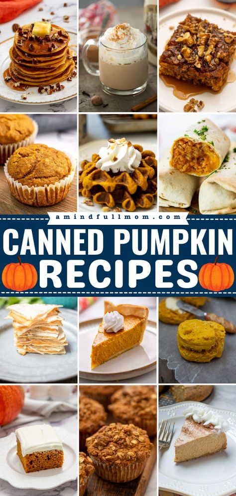 Canned pumpkin needs to be a pantry staple! It is inexpensive, loaded with nutrients, and delicious in everything from oatmeal to quesadillas to pie! Put it to use with these easy canned pumpkin recipes! Recipes With Canned Pumpkin Easy, Pumpkin Pie Mix Recipes Canned, Recipes Using Canned Pumpkin, Easy Canned Pumpkin Recipes, Canned Recipes, Sweet Pumpkin Recipes, Survival Recipes, Canned Pumpkin Recipes, Canning Food