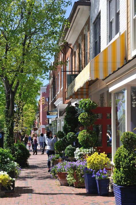 Old Cities, Usa Aesthetic, Southern Virginia, Home Door Hanger, Usa Places, Best Place To Visit, American Village, Virginia City, Virginia Travel