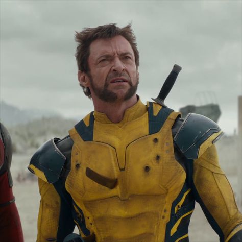 from: Deadpool & Wolverine Wolverine Pfp, Wolverine Icon, Marvel Jean Grey, Wolverine Movie, Wolverine Comic, Deadpool And Wolverine, Deadpool 3, Wolverine Hugh Jackman, Deadpool Wolverine