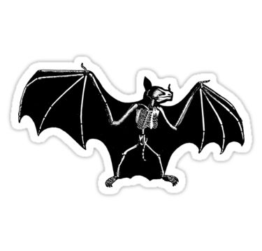 "Bat Anatomy" Stickers by LadyMorgan | Redbubble Bat Anatomy, Goth Stickers, Bat Sticker, Fruit Bat, Stickers Redbubble, Planner Obsessed, Vampire Bat, Cute Bat, Black Bat