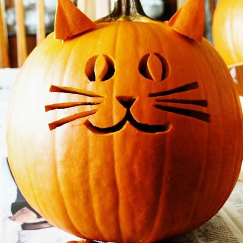 Pumpkin Carving Ideas Cat, Simple Pumpkin Carving Ideas, Simple Pumpkin Carving, Cat Face Pumpkin, Jack O Lantern Cat, Cat Pumpkin Carving, Pumkin Carving, Amazing Pumpkin Carving, Easy Pumpkin Carving