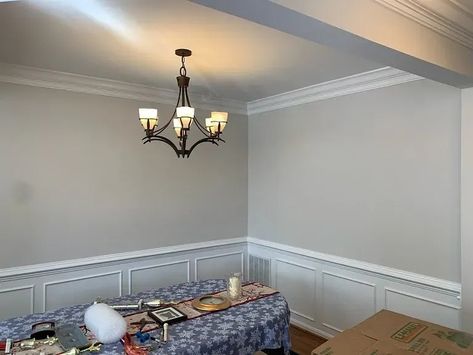 Sherwin Williams Drift Of Mist Wall Paint Symmetry Sherwin Williams, Sherwin Williams Drift Of Mist, Drift Of Mist Sherwin Williams, Color Plan, Interior Pictures, Wall Paint Colors, Wall Molding, Interior Paint Colors, Dining Room Walls