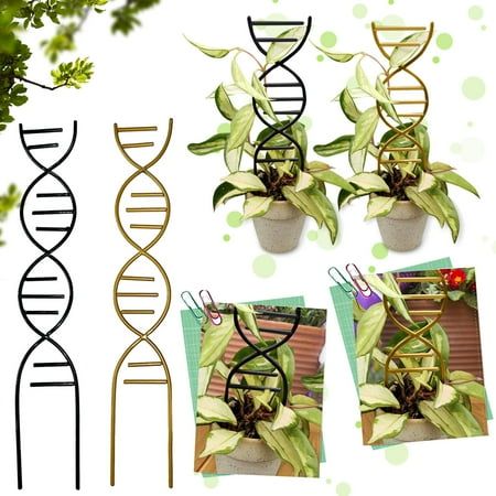 Welcome to Bemona, I hope you have a good shopping! Small Plant Trellises For Climbing Plant, Metal DNA Shape Garden Potted Trellises Plant Support Stake For Potted Plants, Houseplant Garden Plant Lover Gifts This sturdy wooden trellis is perfect for indoor plants. The moisture-proof coating will help keep your plants healthy and extend the life of the trellis. The wood design is beautiful and elegant, its the perfect plant decor for any home Elevate the potted plants in your kitchen, living roo House Plant Trellis, Small Garden Trellis, Trellis For Potted Plants, Pot Trellis, Houseplant Trellis, Indoor Plant Trellis, Small Trellis, Indoor Trellis, Climbing Trellis