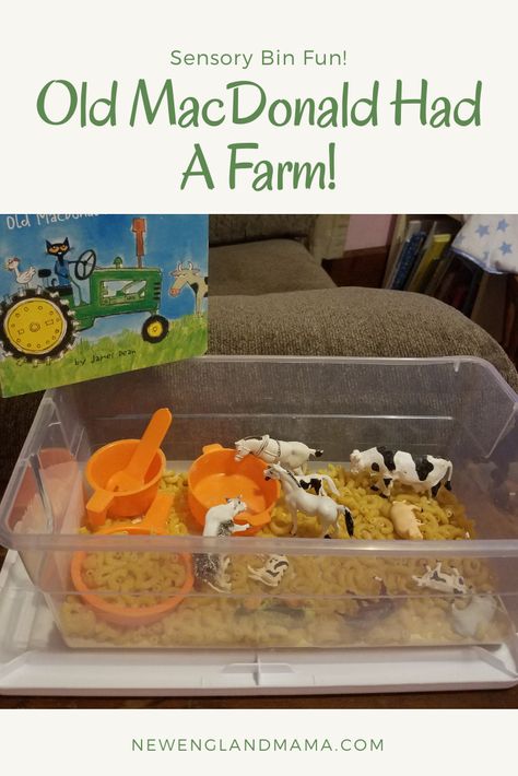 Old Macdonald Had a Farm Sensory Bin! – New England Mama Nursery Rhymes Sensory Bin, Old Mac Donald Had A Farm Activities, Nursery Rhyme Sensory Bin, Old Mcdonald Had A Farm Activities, Old Macdonald Had A Farm Activities, Twos Activities, Mess Free Toddler Activities, Farm Theme Crafts, Farm Kindergarten