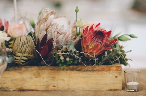 Real Wedding at Rockhaven {Liana Native Centrepiece, August Centerpieces, Wooden Box Ideas, Protea Centerpiece, Aisle Arrangements, Protea Wedding, Patio Flowers, Cheap Wedding Flowers, Native Flowers