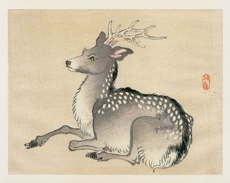 https://www.panteek.com/Bairei1913/pages/bar19-1a1.htm Vintage Japanese Illustration, Japanese Deer, Japanese Wood Block Art, Deer Art Print, Japan Wall Art, Illustration Kunst, Japan Illustration, Astronomy Art, Japanese Illustration