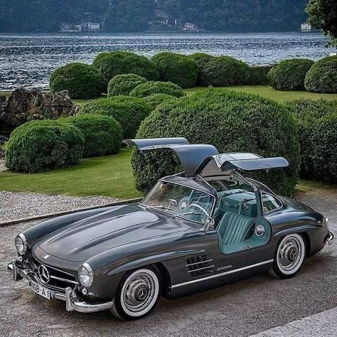 World Cars from the 1930s to 1980s | 1956 Mercedes-Benz 300 SL Gullwing Mercedes Gla 250, Mercedes Classic Cars, Maybach Mercedes, Gla 250, Kereta Sport, Mercedes Auto, Mercedes Gla, Old Mercedes, Vintage Auto's