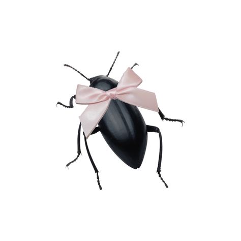 Bug Pfp Aesthetic, Creepy Cute Icons, Aesthetic Insects, Bug Pfp, Insects Aesthetic, Insect Aesthetic, Pink Insect, Beetle Aesthetic, Bug Core