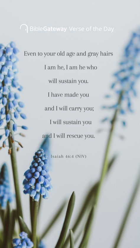 God Will Sustain You, I Have Made You I Will Carry You, I Will Sustain You Verse, I Will Carry You, Isaiah 46:3-4, Isaiah 46 4 Wallpaper, Isaiah 46:4, Isaiah Scriptures, Blessed Scripture