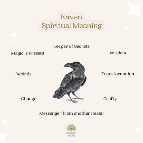 Raven Spiritual Meaning, Crow Meaning, Raven Spirit Animal, Bird Meaning, Spirit Animal Meaning, Black Bird Tattoo, Nature Witch, Spiritual Animal, Animal Spirit Guides