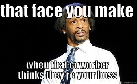 Who appointed you to be Boss ...lol?!!😲 "Sometimes there's just TOO many Chiefs and not enough Indians!" #HaveaSeatSomewhere #ThatstheBuzz Teacher Humour, Teacher Memes Funny, Teaching Memes, Kat Williams, Teaching Humor, Katt Williams, Teacher Problems, Drunk Humor, Teaching Quotes